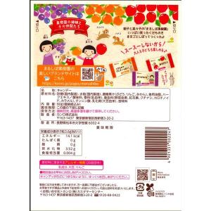 まるごとしぼった果物のど飴 80g 1袋 カン...の詳細画像1