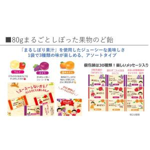 まるごとしぼった果物のど飴 80g 1袋 カン...の詳細画像4