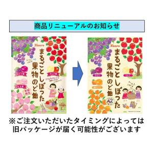 まるごとしぼった果物のど飴 80g 1袋 カン...の詳細画像5