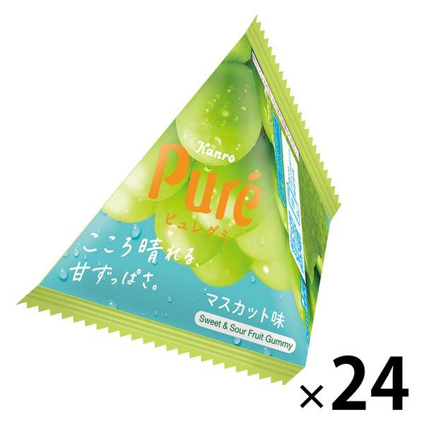 ピュレグミ プチ三角マスカット 13g 1セット（1袋×24） カンロ グミ 個包装