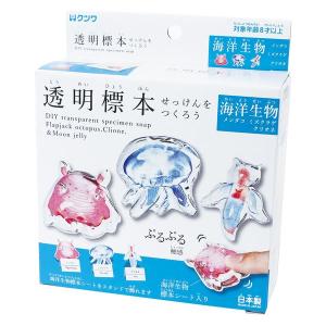 【アウトレット】クツワ 透明標本せっけんをつくろ...の商品画像