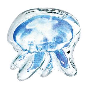【アウトレット】クツワ 透明標本せっけんをつく...の詳細画像4