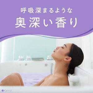 (セール)入浴剤 バスソルト アーユルタイム ...の詳細画像3