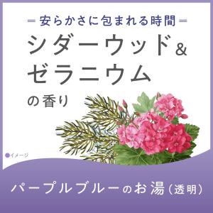 (セール)入浴剤 バスソルト アーユルタイム ...の詳細画像5