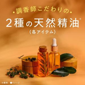 入浴剤 バスソルト アソート アーユルタイム ...の詳細画像4