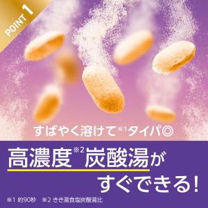 薬用 入浴剤 炭酸 きき湯 ファインヒート ほ...の詳細画像2