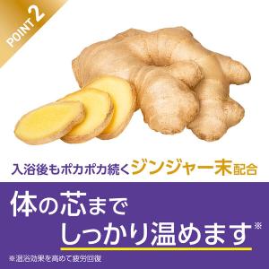 薬用 入浴剤 炭酸 きき湯 ファインヒート ほ...の詳細画像3