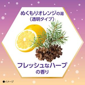 薬用 入浴剤 炭酸 きき湯 ファインヒート ほ...の詳細画像5