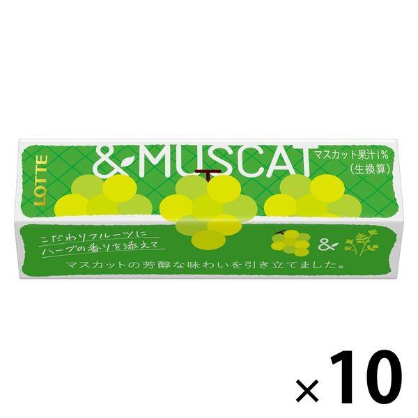 こだわりフルーツ＜＆マスカット＞ 1セット（1個×10） ロッテ