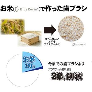 【ロハコ先行販売】 歯科医推奨 エコデント ラ...の詳細画像5