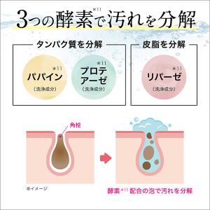 パエンナ ハトムギと酵素配合洗顔料 inクレイ...の詳細画像5