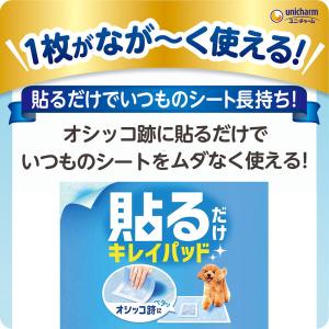 貼るだけ デオシート キレイパッド Mサイズ ...の詳細画像1