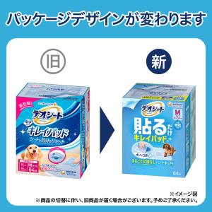 貼るだけ デオシート キレイパッド Mサイズ ...の詳細画像2