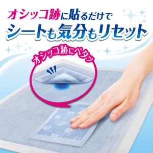 貼るだけ デオシート キレイパッド Mサイズ ...の詳細画像3