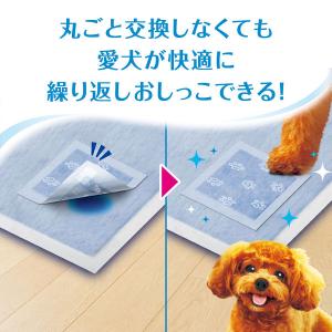 貼るだけ デオシート キレイパッド Mサイズ ...の詳細画像4