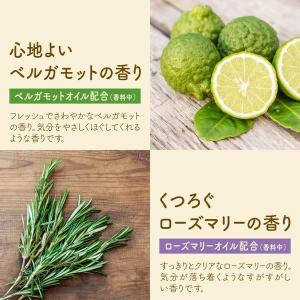 入浴剤 炭酸 温泡 ONPO ボタニカルタイム...の詳細画像4