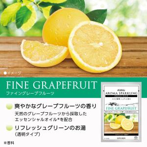 入浴剤 発泡 アソート アロマスパークリング ...の詳細画像4