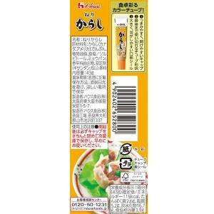 ハウス食品 ねりからし 43g 1本の詳細画像1