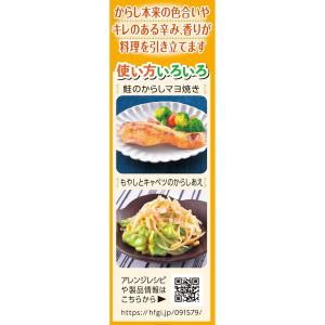 ハウス食品 ねりからし 43g 1本の詳細画像2