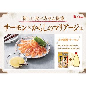 ハウス食品 ねりからし 43g 1本の詳細画像3
