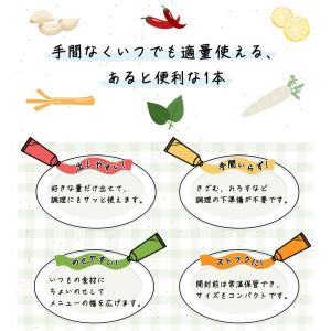 ハウス食品 ねりからし 43g 1本の詳細画像4