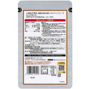 直火焼 米粉のカレールー 中辛 110g 1個...の詳細画像1