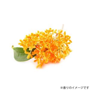 【アスクル限定】トイレの消臭スプレー 濃縮タイ...の詳細画像1