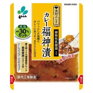 カレー福神漬 減塩 塩分30%カット 100g...の詳細画像1