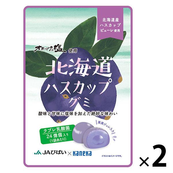 北海道ハスカップグミラブレ乳酸菌入 グミ ご当地 1セット（1個×2） カネカ食品