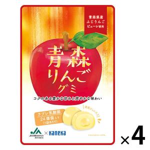 【アウトレット】青森りんごグミラブレ乳酸菌入 グミ ご当地 1セット（1個×4） カネカ食品