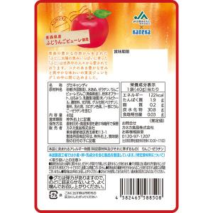 【アウトレット】青森りんごグミラブレ乳酸菌入 ...の詳細画像2