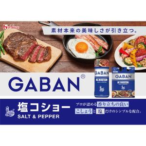 GABAN(ギャバン)塩コショー 120g 1...の詳細画像2