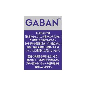 GABAN(ギャバン)塩コショー 120g 1...の詳細画像3
