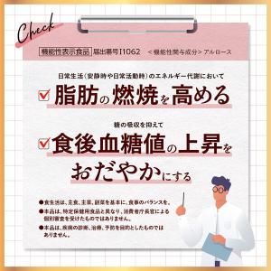 ラカント アルロースブレンド 100g 1個 ...の詳細画像4