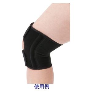 【アスクル・ロハコ限定】 日本シグマックス フ...の詳細画像5