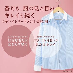 ソフラン アロマリッチ ダイアナ 詰め替え ウ...の詳細画像3