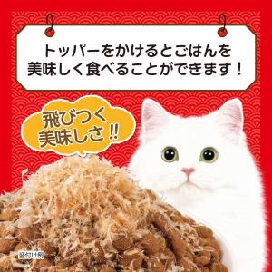 いなば CIAO チャオ ちゅーる 猫 総合栄...の詳細画像2