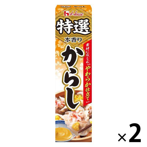 ハウス食品 42g 特選本香りからし 1セット（1個×2） 【おでん、焼きそば】ハウス