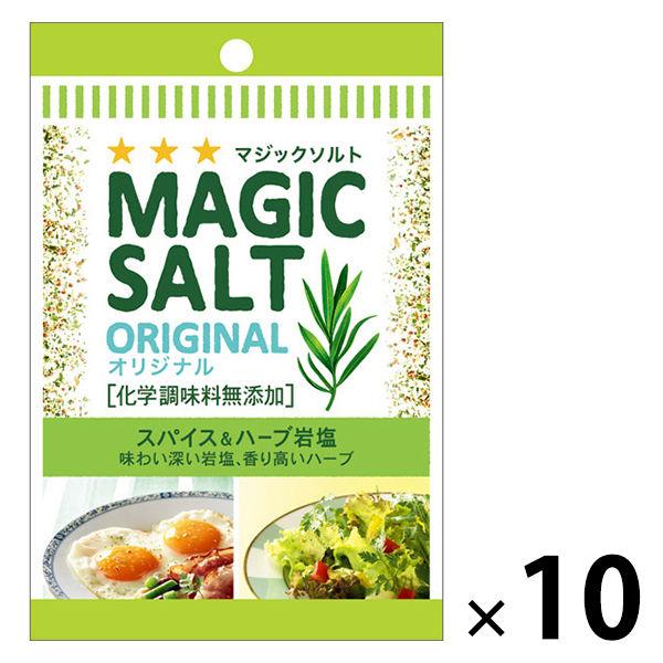 エスビー食品 S＆B 袋入りマジックソルト オリジナル 20g 10個