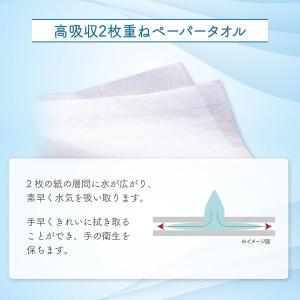 【セール】ネオテックス(抗菌) 150組 ダブ...の詳細画像3