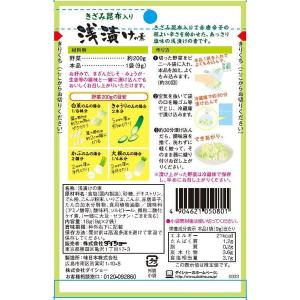 ダイショー 浅漬けの素 2個の詳細画像1