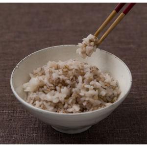 国産もち麦ごはん 3個 アイズ パックごはん ...の詳細画像4