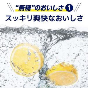 (先着順200円クーポン)チューハイ 氷結 無...の詳細画像5