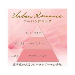 消臭力 プレミアムアロマ 玄関 リビング用 部...の詳細画像5