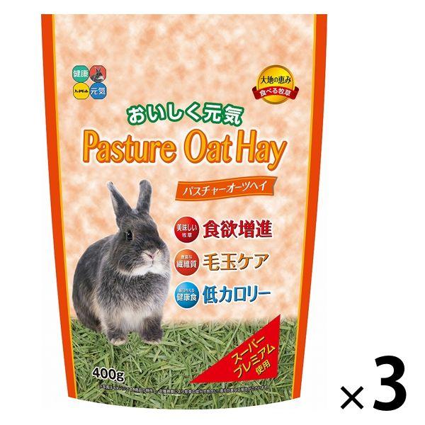 パスチャーオーツヘイ 小動物用 400g 3袋 ハイペット