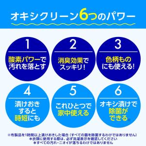 オキシクリーン 詰め替え 2000g 粉末 酸...の詳細画像3