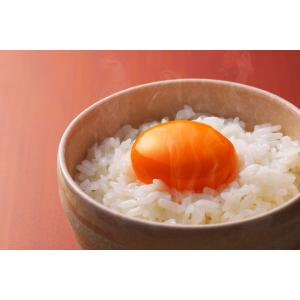 【180g×10食】低温製法米のおいしいごはん...の詳細画像3