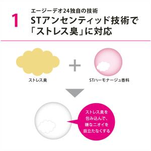 ファイントゥデイ エージーデオ24プレミアムデ...の詳細画像5