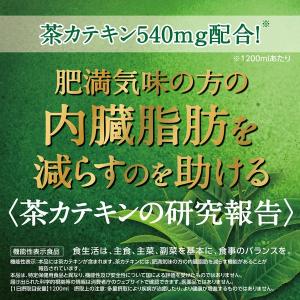 (セール)(機能性表示食品)サントリー 緑茶 ...の詳細画像4