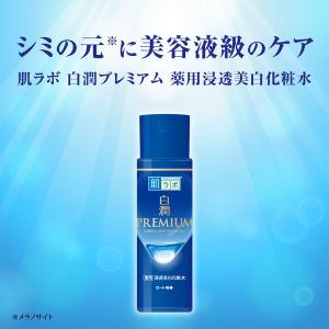 肌ラボ 白潤プレミアム 薬用浸透美白化粧水 1...の詳細画像2